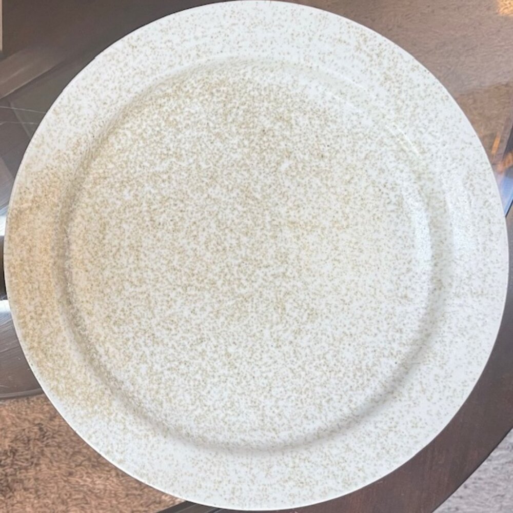 Vintage Stoneware 12" Plate w Speckled Pattern from Fred Evangel Pottery 1970's